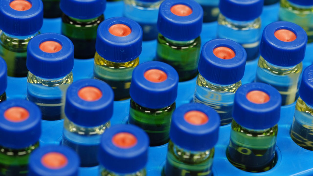 Building Expertise in Ion Chromatography