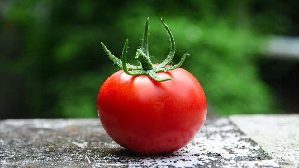 How a Tomato Concentrate Could Help Reduce Inflammation for HIV Patients content piece image