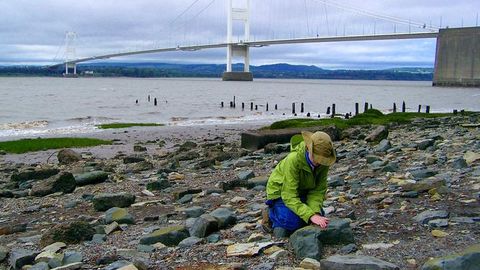 Microplastics May Linger in Rivers for Years Prior to Entering Oceans