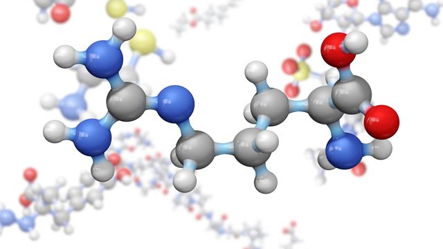 A peptide molecule, with atoms labeled in different colors. 
