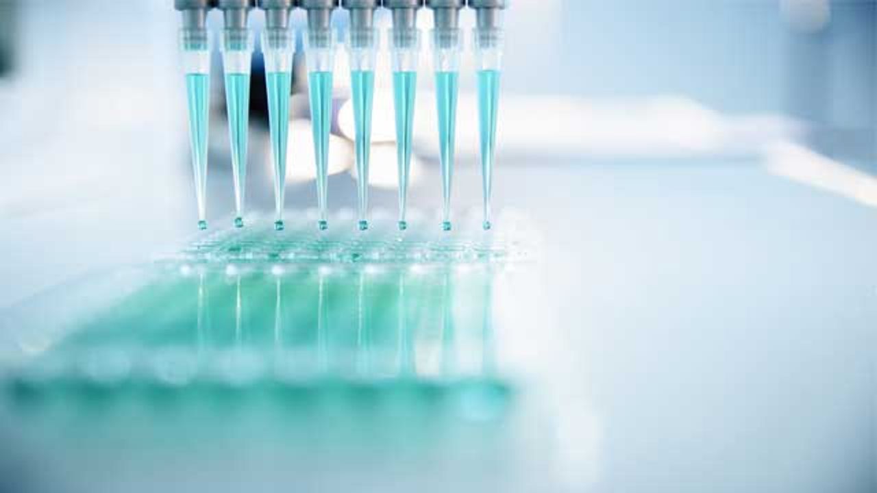 A New Way To Test Drug Sensitivity Using Tumor Tissue