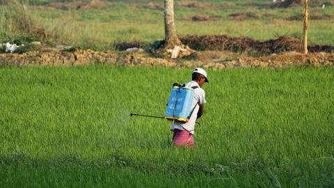 CRISPR Cas-9 Tool Reverses Insecticide Resistance