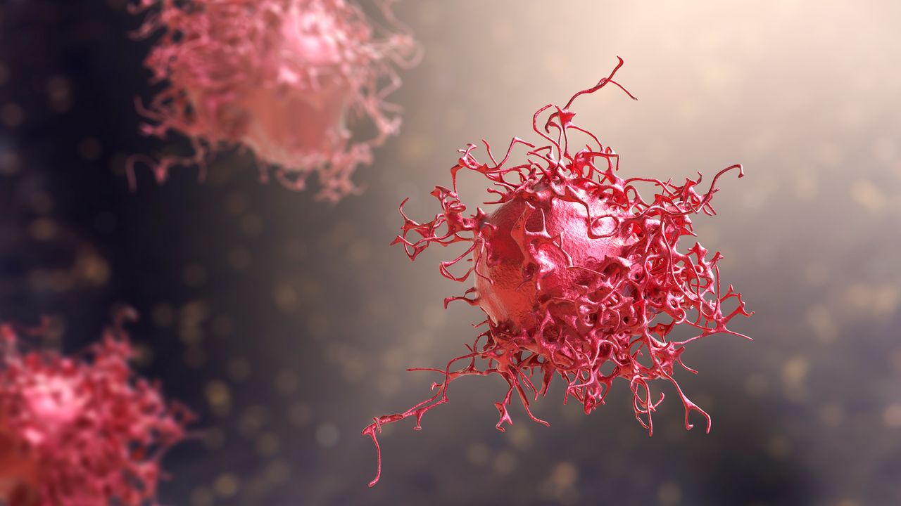 AI for Mammography Reveals Its Decision-Making Process To Aid Physicians