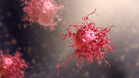 AI for Mammography Reveals Its Decision-Making Process To Aid Physicians