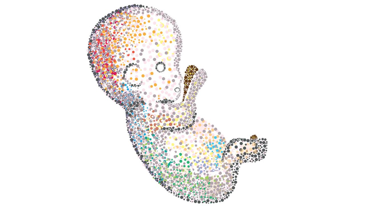 Understanding Single Cell Sequencing, How It Works and Its Applications