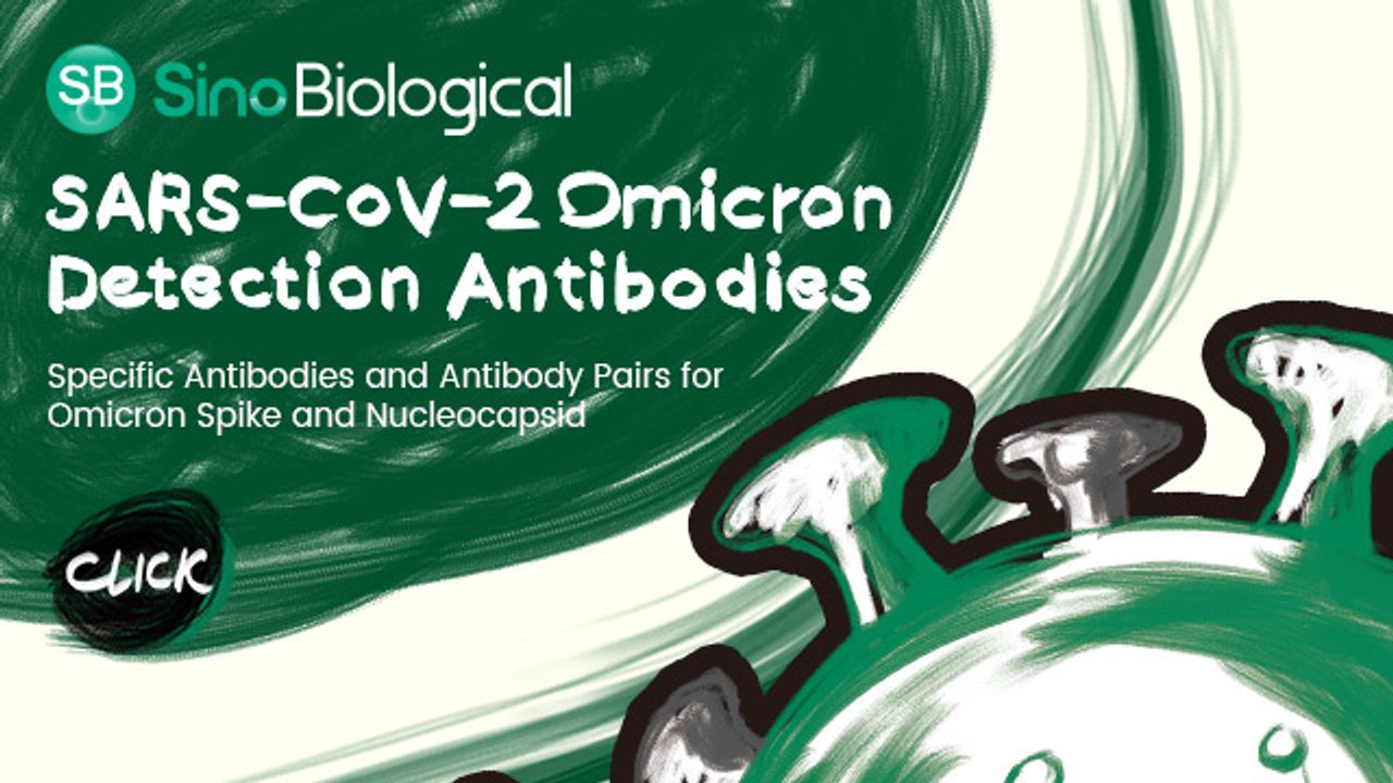 SARS-CoV-2 Omicron Detection Antibodies