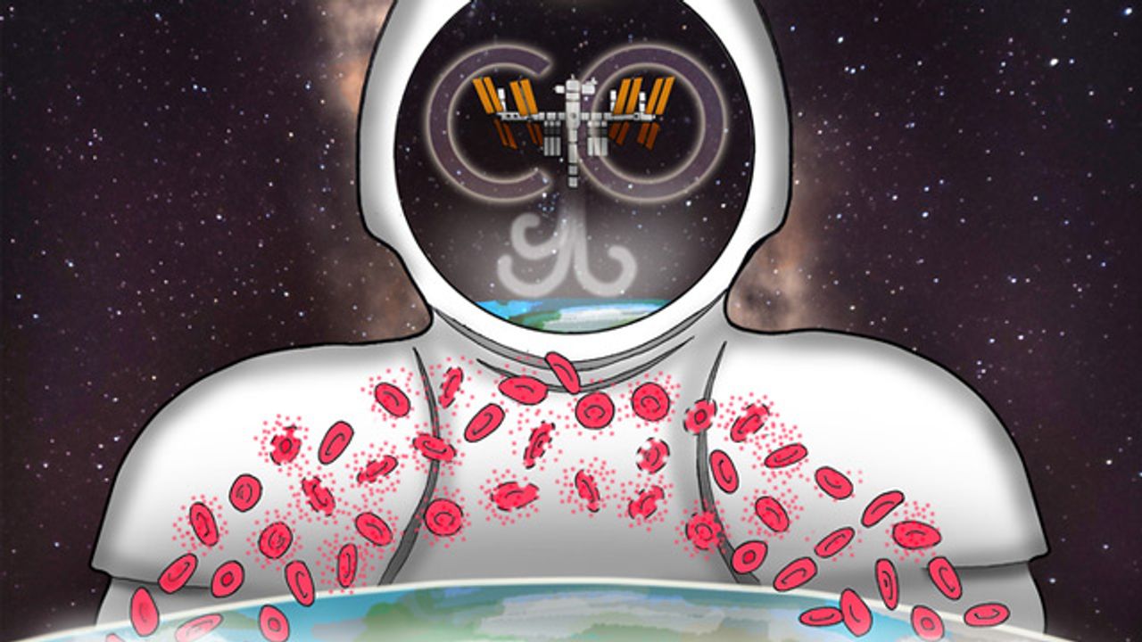 Being in Space Destroys More Red Blood Cells