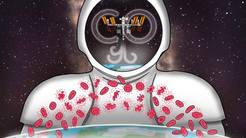 Being in Space Destroys More Red Blood Cells