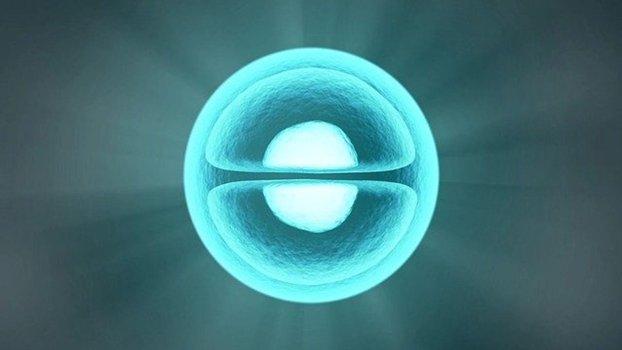 Shared Cell Receptors for Deadly Virus Family Found in Humans and Other Species