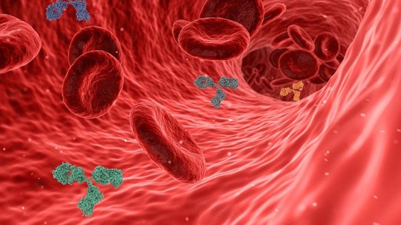 Non-Neutralizing Antibodies May Also Protect Us Against COVID-19