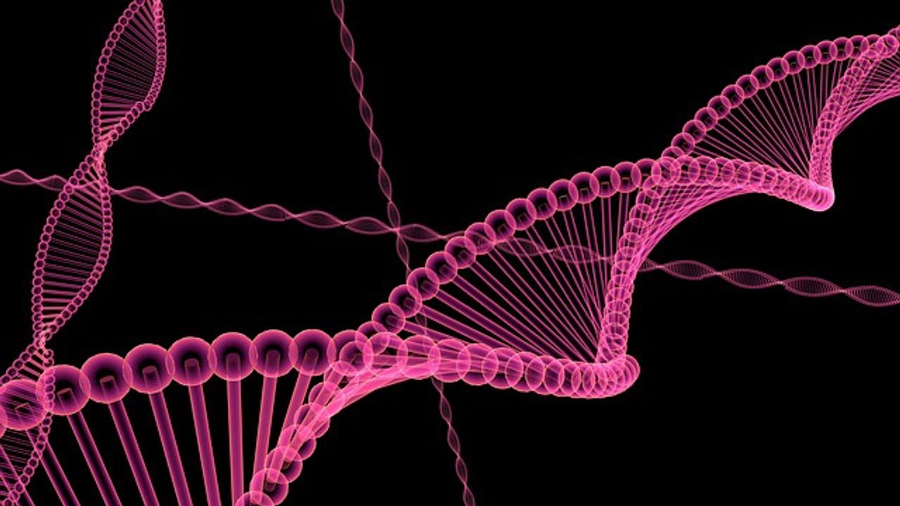 The Secret to the Condensation of Chromosomes