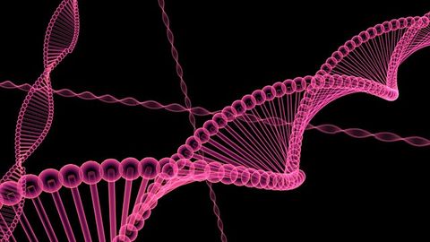 The Secret to the Condensation of Chromosomes
