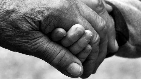 A Blood Test To Measure the Pace of Biological Aging Developed