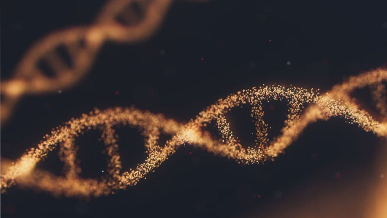 New Mechanism for Protecting DNA Discovered
