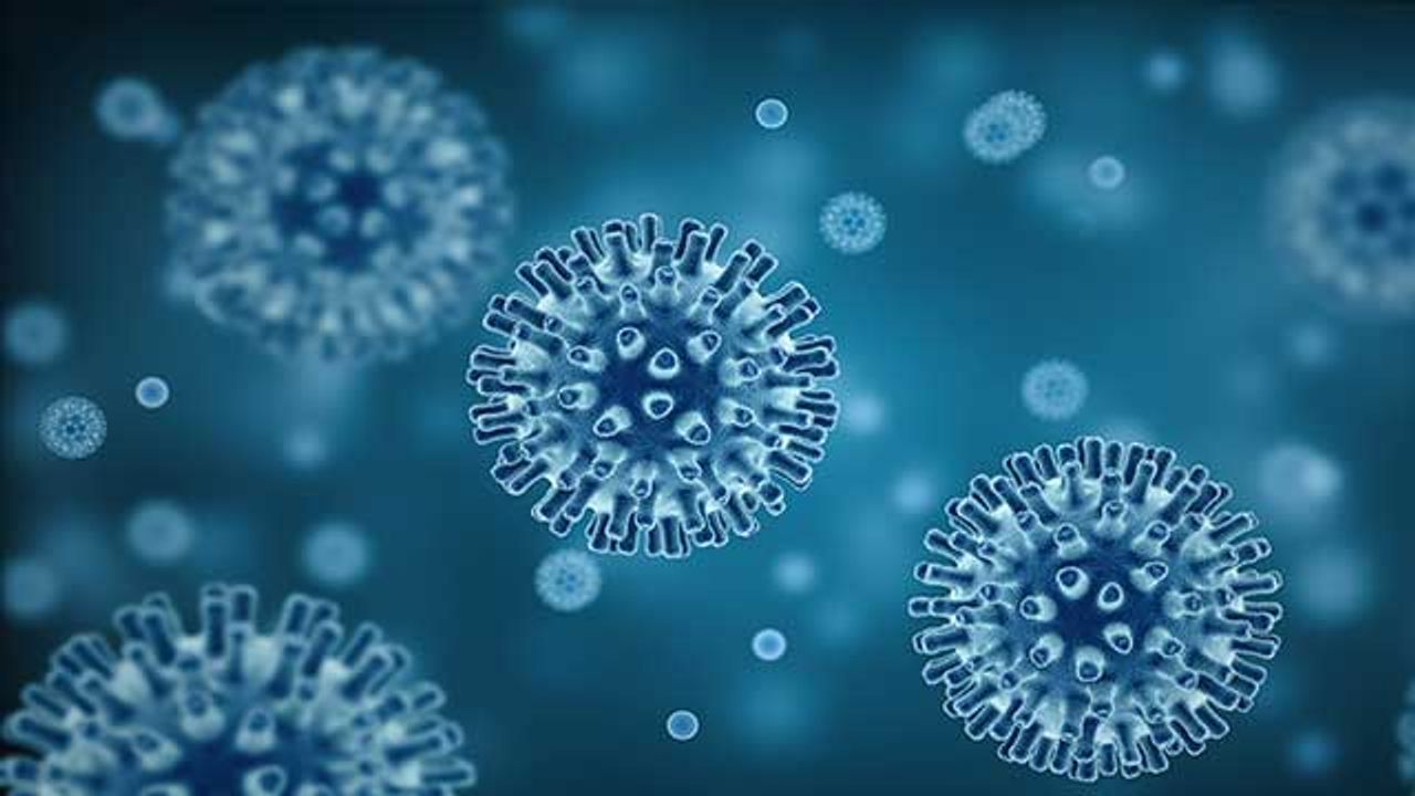 How Zika Virus Evades Antiviral Response of Cells