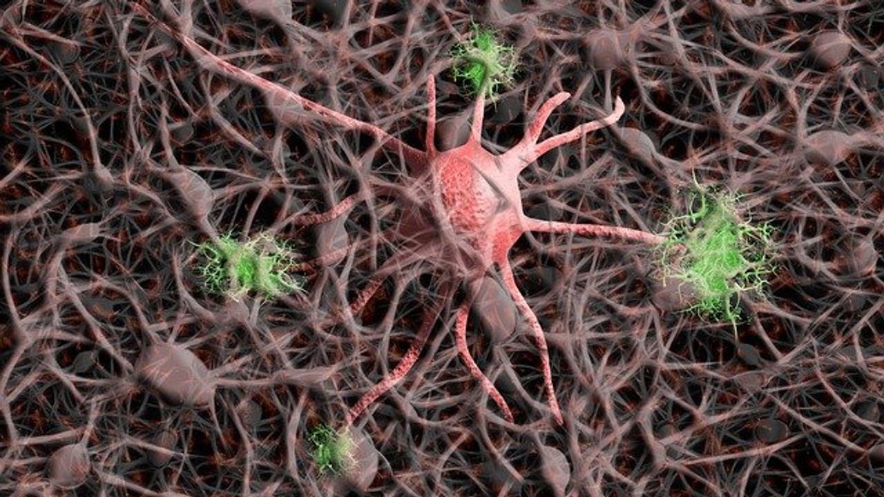 Astrocytes May Betray the Brain in ALS