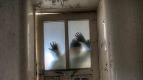 Researchers Put Volunteers in a Haunted House To Study Threat Response