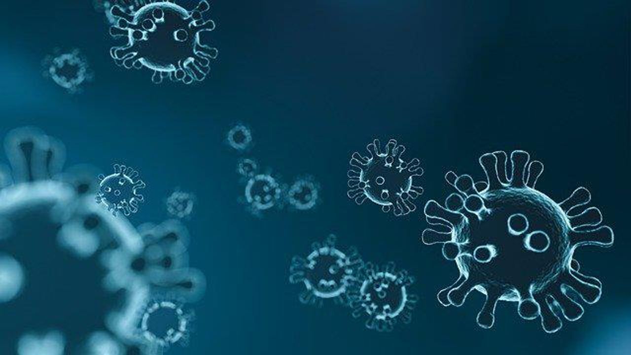 “Decoy” Protein Effective Against SARS-CoV-2 Variants in Mouse Study