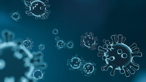 “Decoy” Protein Effective Against SARS-CoV-2 Variants in Mouse Study