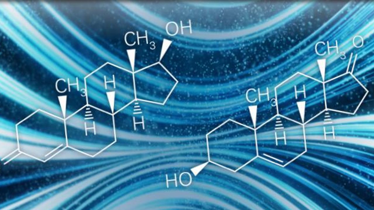 Separation of Isobaric Androgens Using MALDI-2 TIMS Imaging