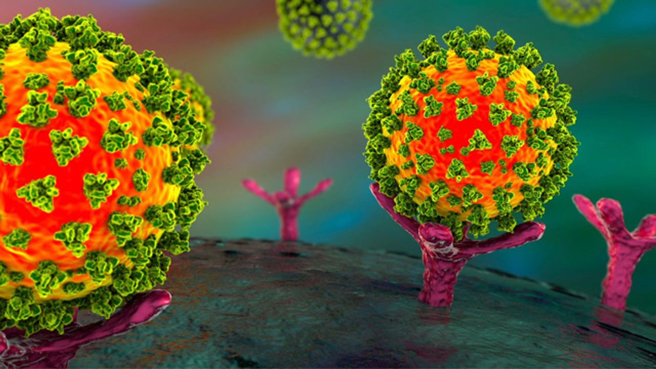 Latest Tools for COVID-19 Omicron Variant Research