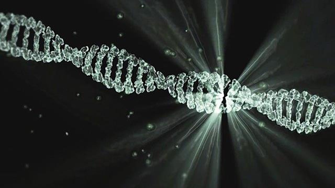 DNA Repair Mechanisms Point to Potential Drug Targets for Cancer and Neurodegenerative Diseases