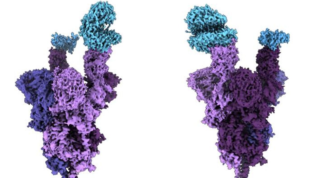 World’s First Molecular-Level Analysis of Omicron Spike Protein