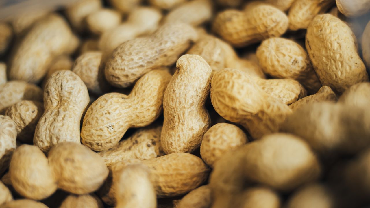 Immunotherapy Induced Peanut Allergy Remission in Some Children