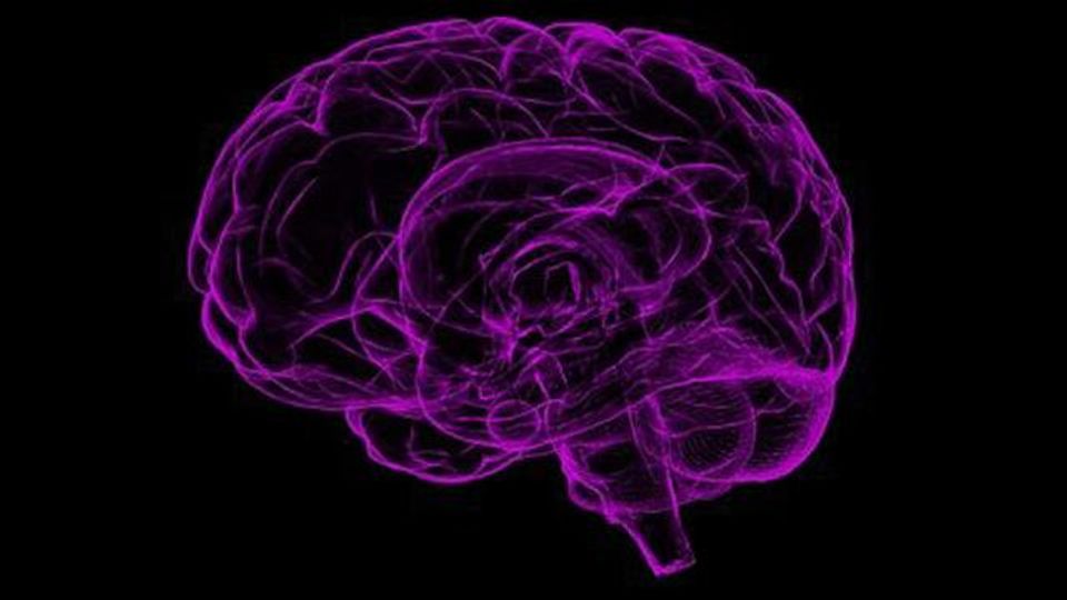 Map of Dementia Protein Interactions Could Point to New Targets content piece image