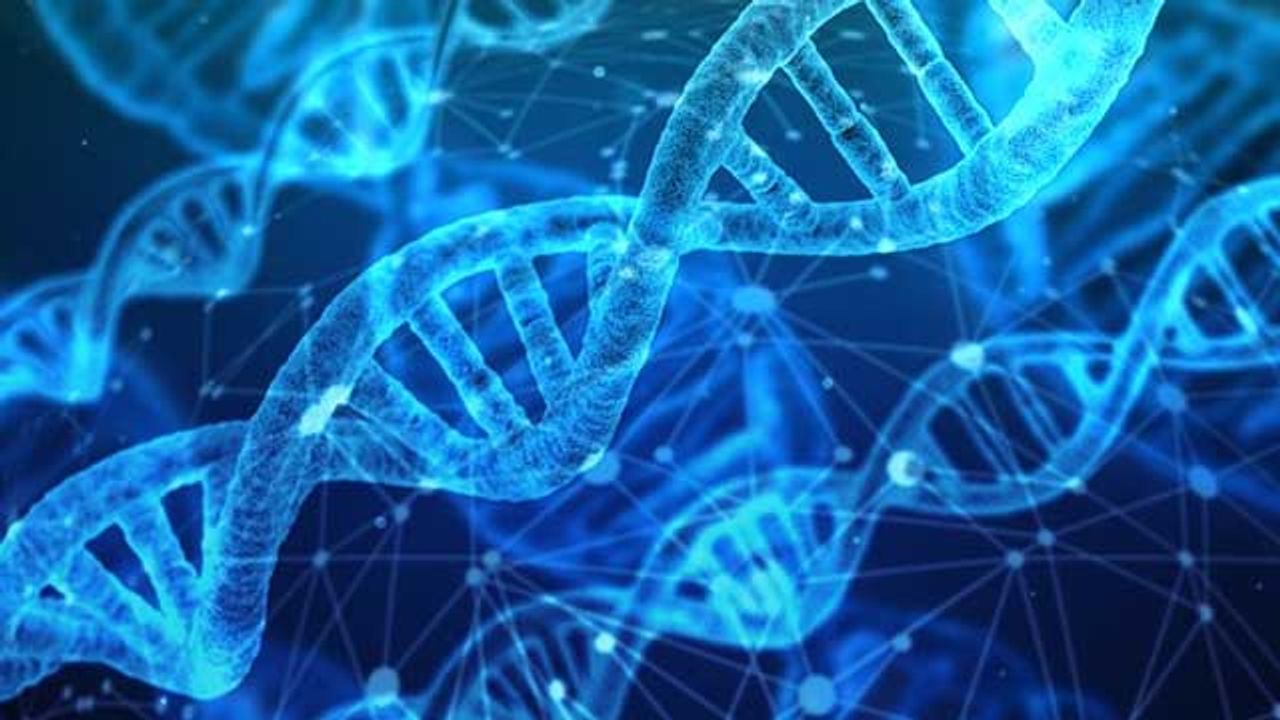 Enzymes Capable of Removing Lactic Acid Marks Could Advance Cancer Treatment