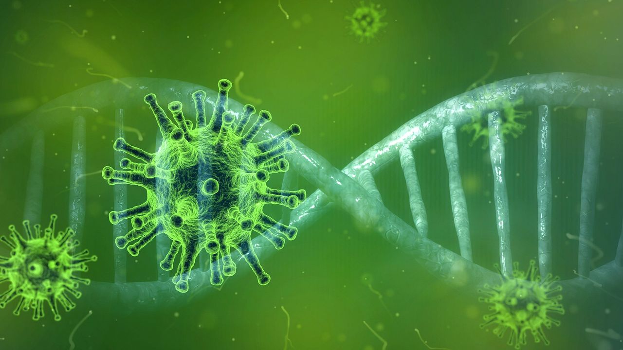 Seegene's Allplex™ SARS CoV-2 FluA/FluB/RSV Assay Approved Under Health Canada's Interim Order