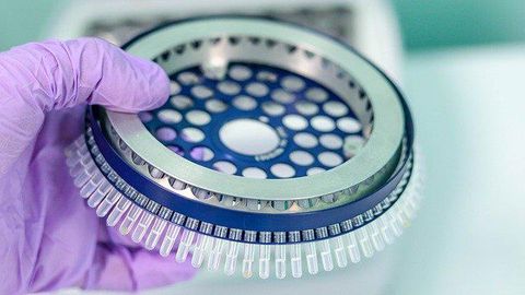 RNA Reference Materials Are Useful for Standardizing COVID-19 Tests