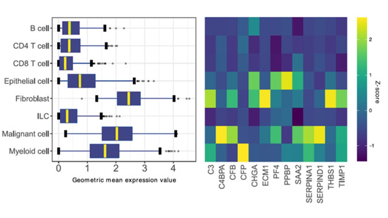 Article Describes Gene Signature Ratio that Predicts Survival in Colon Cancer