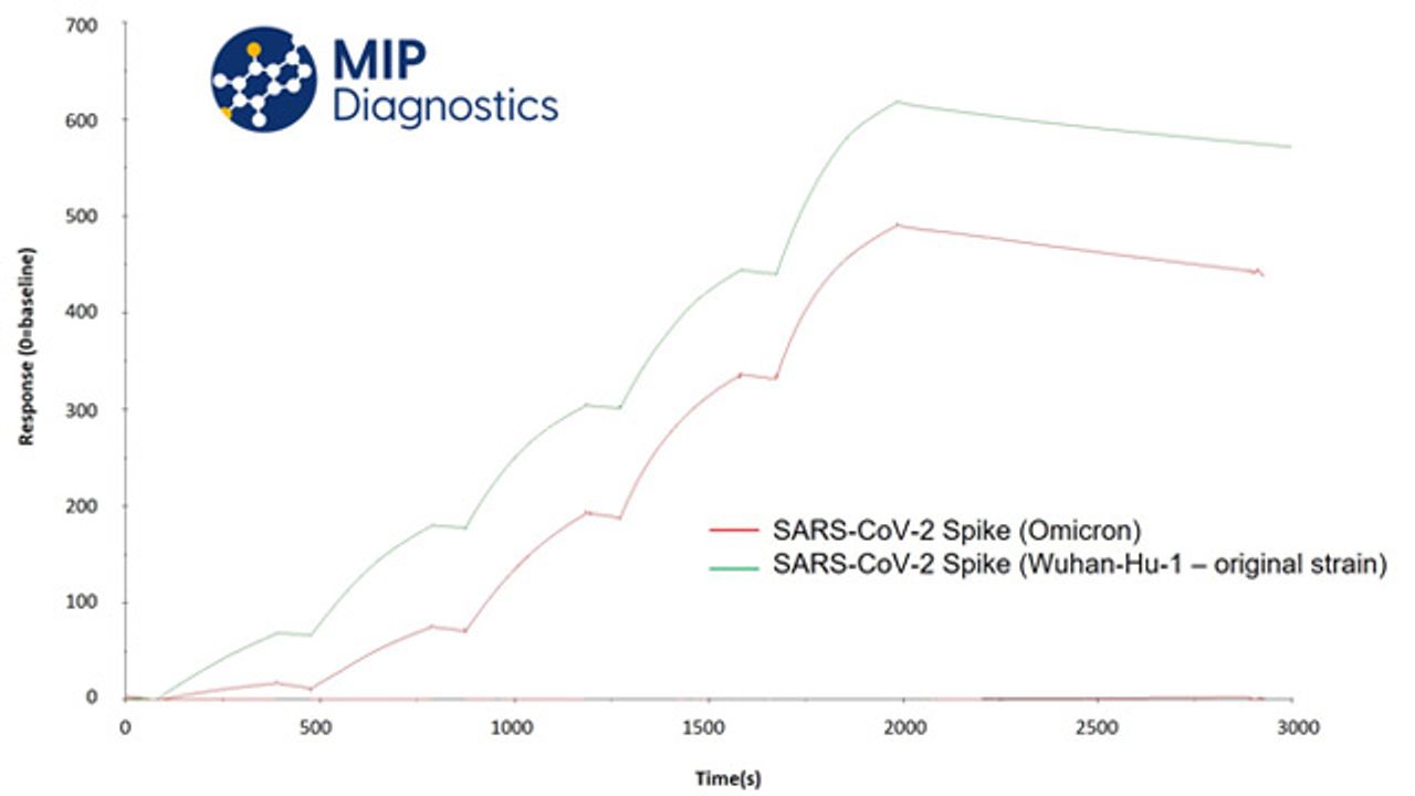 Synthetic Antibody Demonstrates Omicron Detection