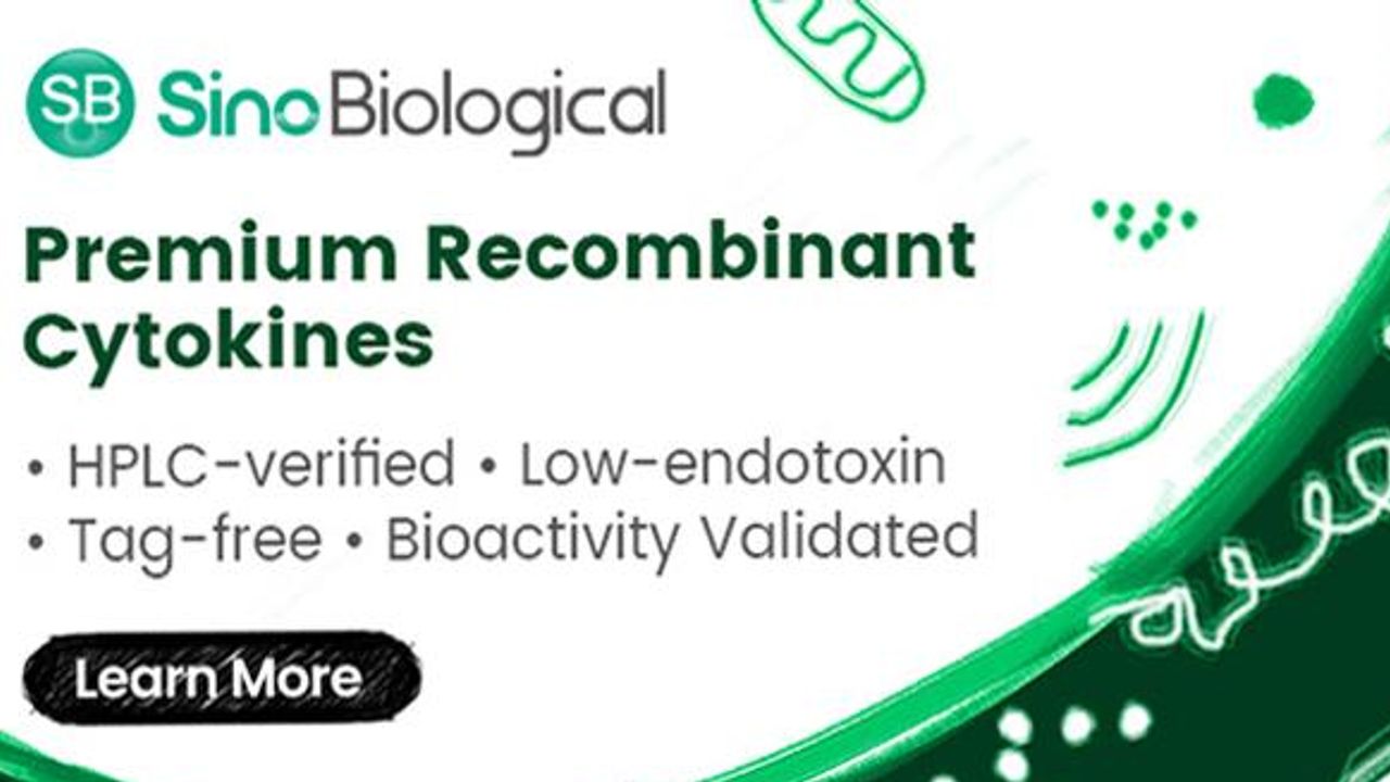 Premium Recombinant Cytokines
