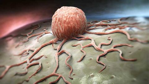 Investigating Interactions Between Anticancer Drug Olaparib and the Single Cell