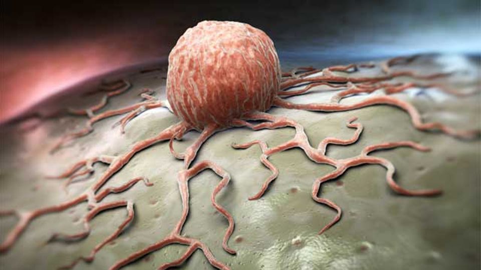 Investigating Interactions Between Anticancer Drug Olaparib and the Single Cell content piece image