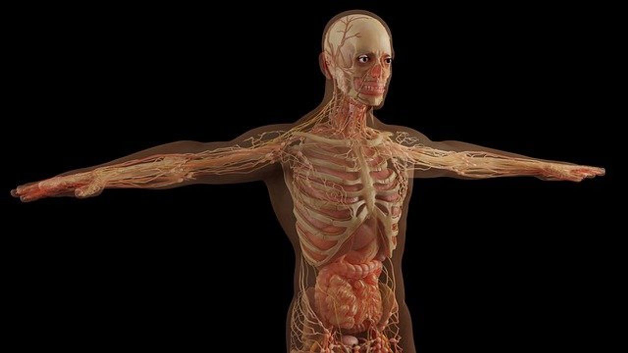 Melanoma Primes Lymph Nodes for Tumor Spread