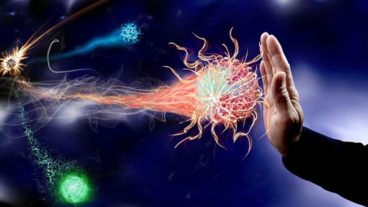 Discovering How the Immune System Recognizes Fungal Invaders