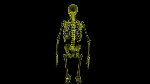 Fastest-Ever Study Shows How Electrons Respond to X-rays