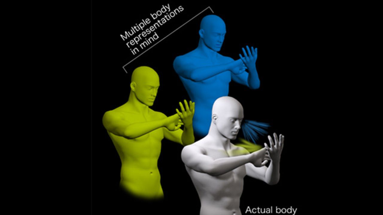 Rethinking the Brain's Body Map