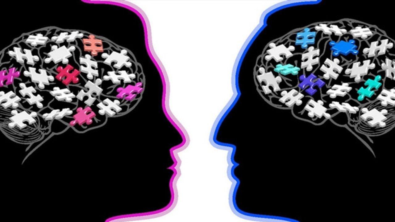 Gene Expression Levels Explain Differences Between Male and Female Mouse Brains