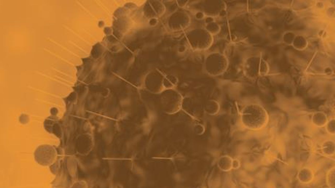 A Guide to Cell Death Mechanisms and Detection Tools