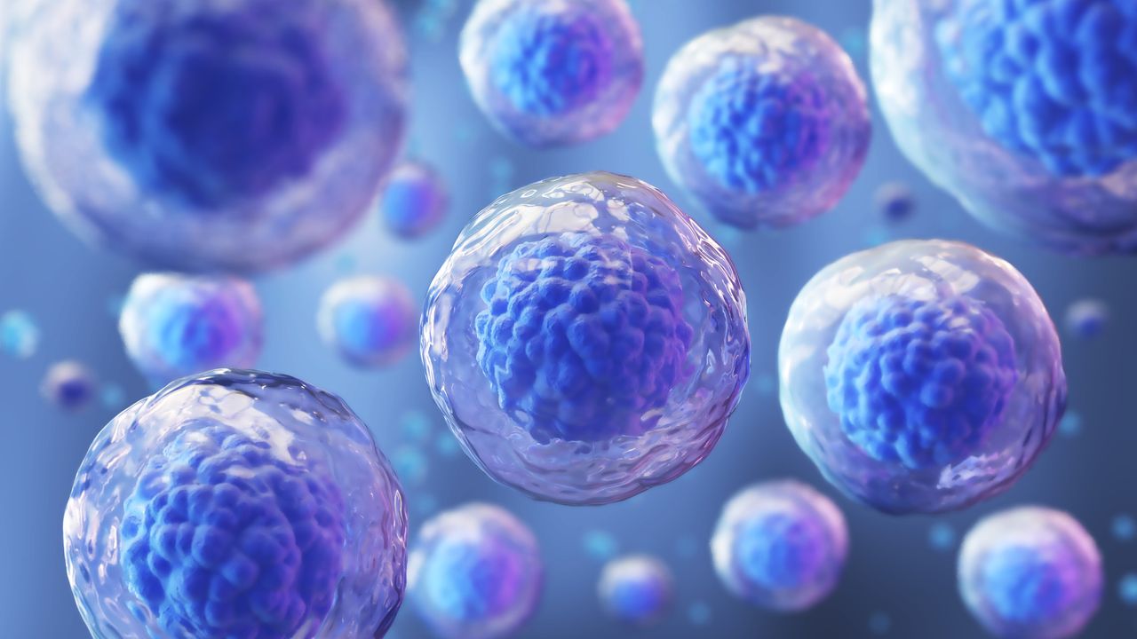 Gene-Edited Stem Cell-Derived Therapies – A Functional Cure for T1D?