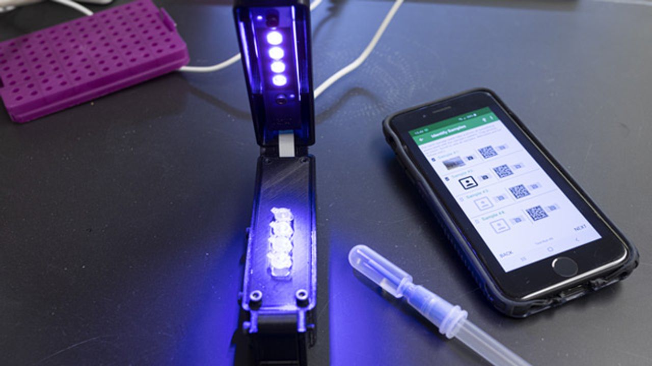 LAMP-Based Test Rapidly Detects SARS-CoV-2