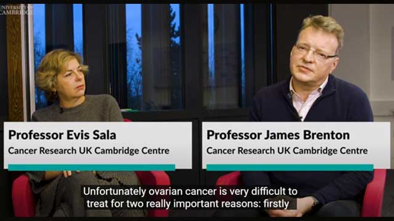 The Researchers Who Are Changing the Story of Ovarian Cancer