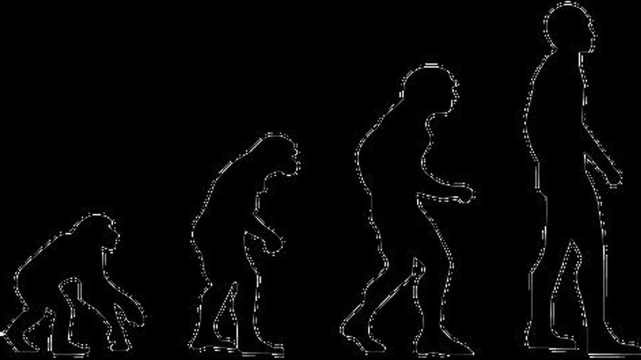“Meat Made Us Human” Hypothesis Called Into Question