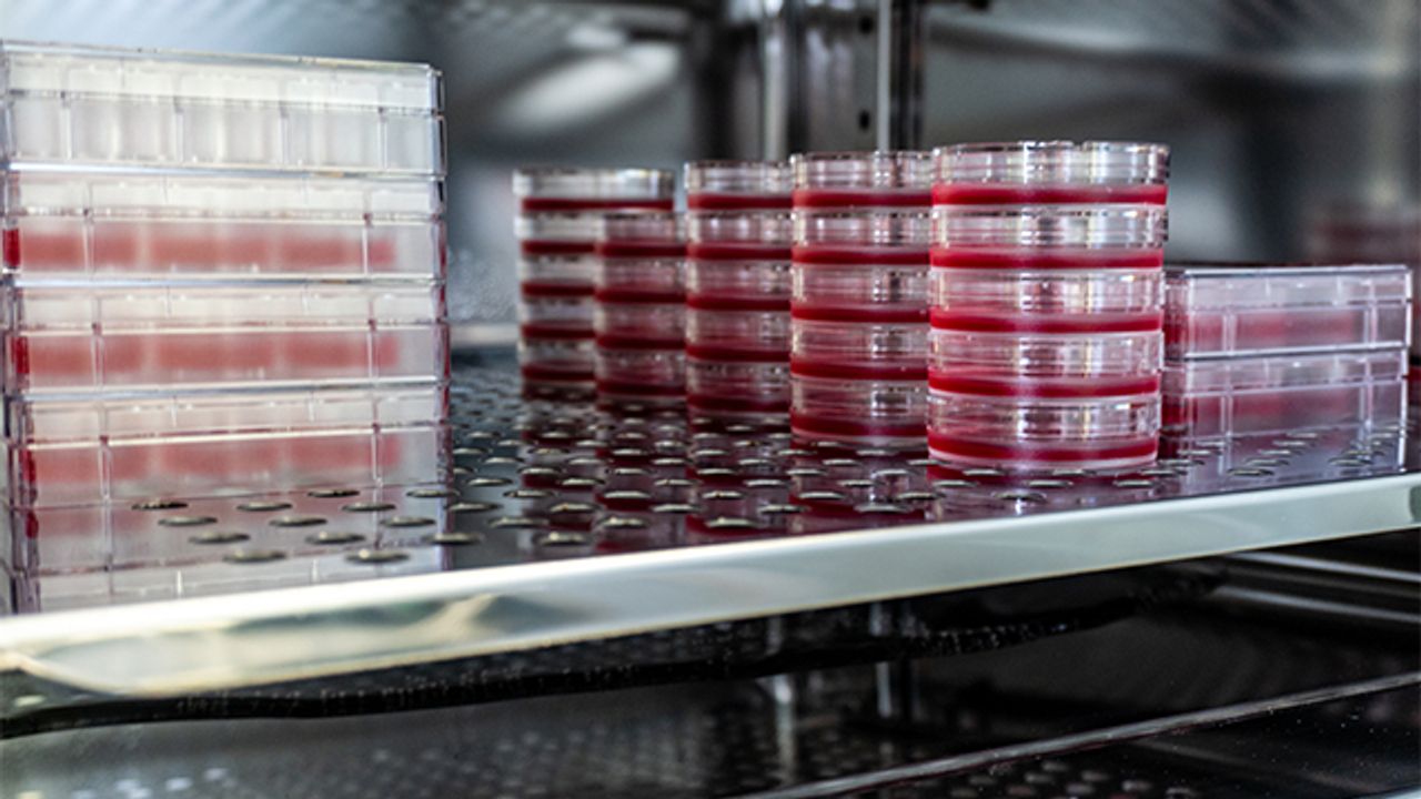 Maintaining Batch-to-Batch Consistency