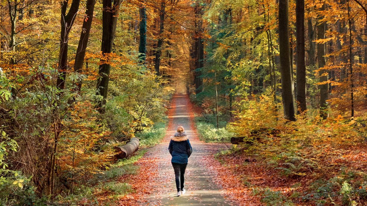 How the Brain Handles Cognitive Tasks While Walking