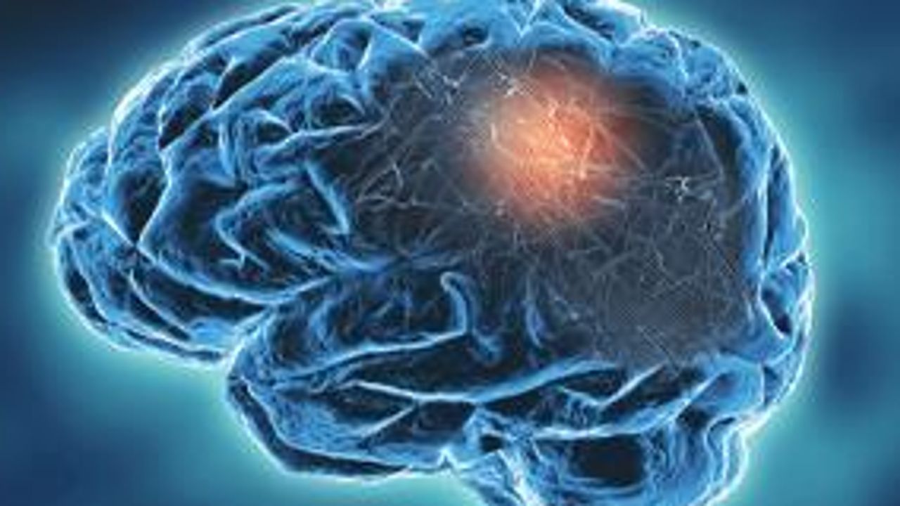 Resolving Brain Architecture With Comprehensive Spatial Gene Expression